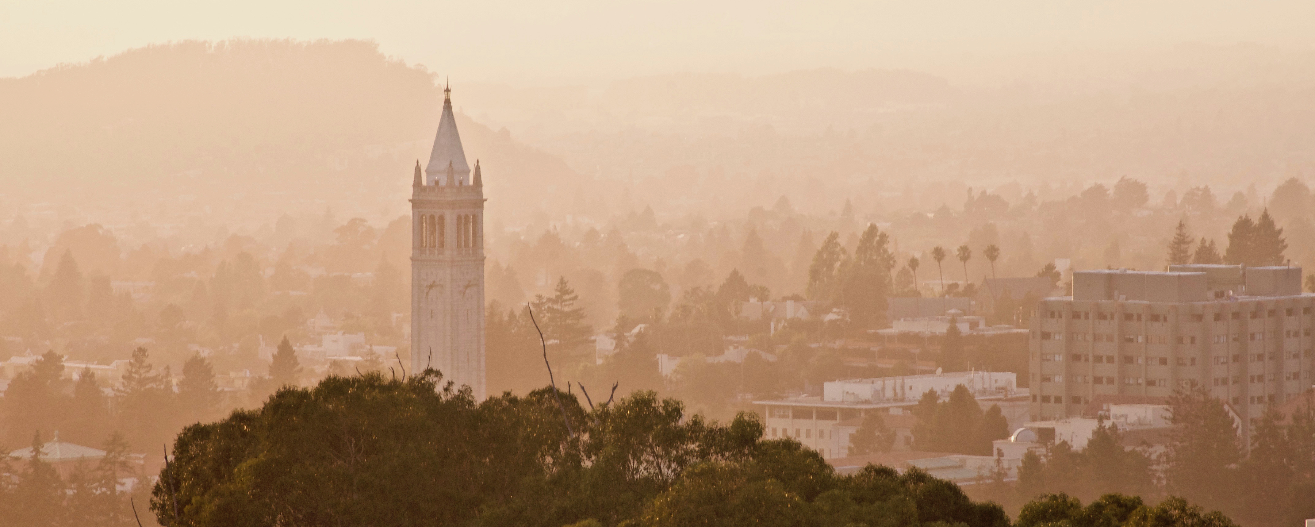 Berkeley Campanile
